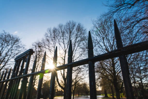 Iron security fence installed around a home ground in Los Angeles County, providing robust protection and enhancing property security.
