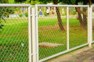 A chain link fence with a secure gate installed in front of a lush green tree, showcasing professional chain link fence gate installation